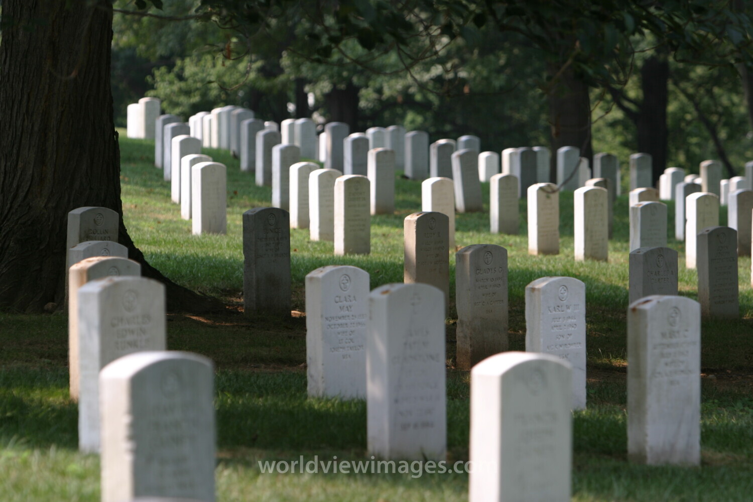 Arlington National Cemetery