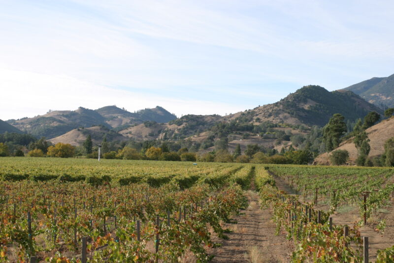 Napa Valley — United States, Napa valley, Napa, St. Helena