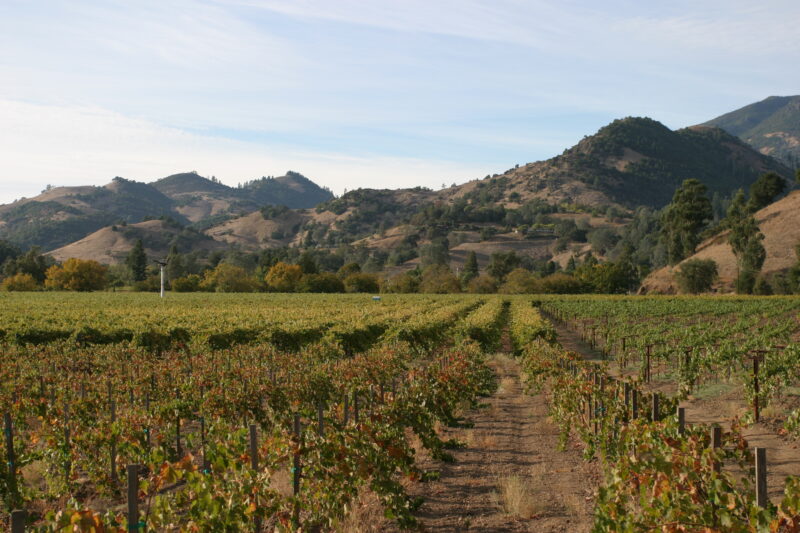Napa Valley — United States, Napa valley, Napa, St. Helena