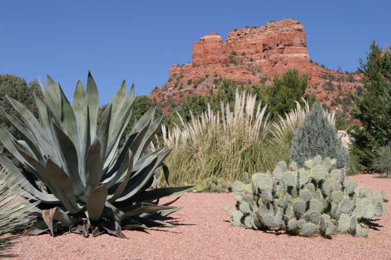 Sedona — United States, Arizona, Sedona, Desert, Geology