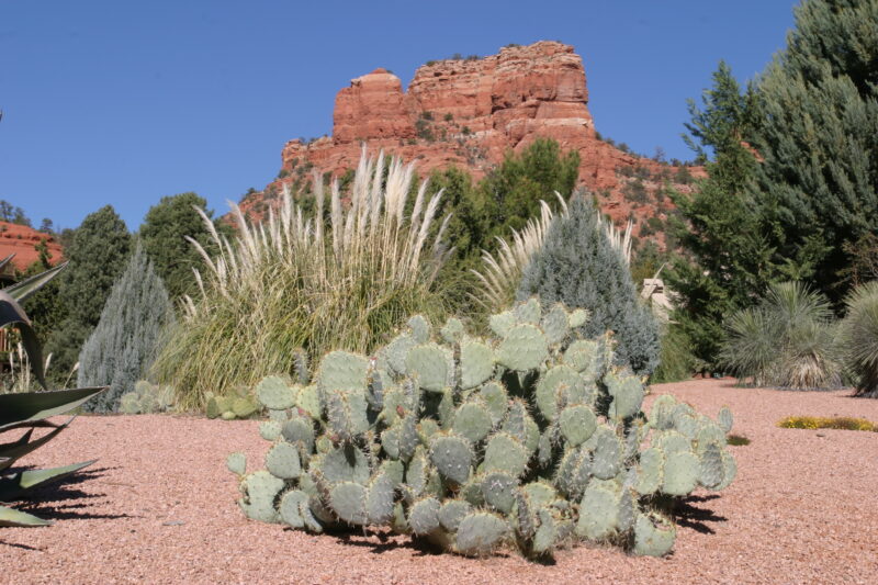 Sedona — United States, Arizona, Sedona, Desert, Geology