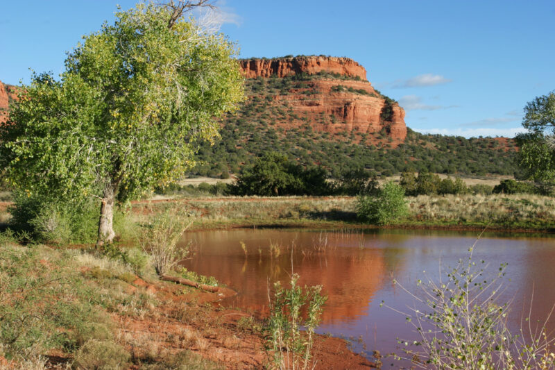 Sedona — United States, Arizona, Sedona, Desert, Geology