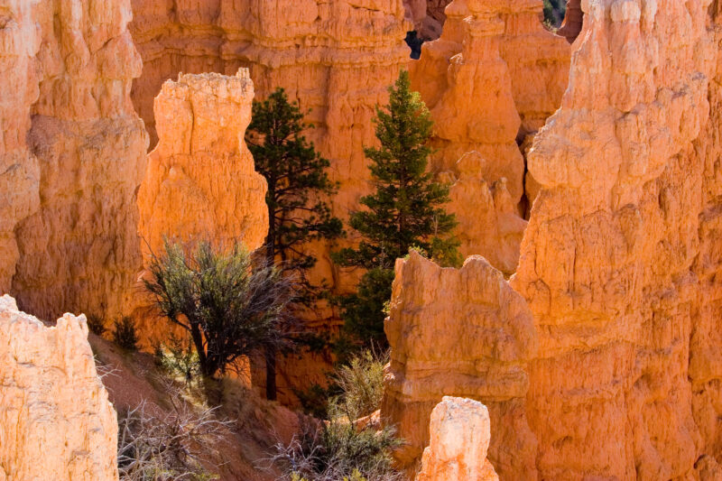 WVI_017733 — United States, Utah, Scenic, Canyons, Erosion