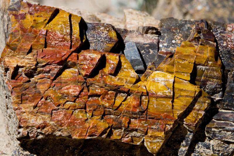 WVI_017831 — United States, Escalante, Escalante State Park, Geology, Petrified Wood