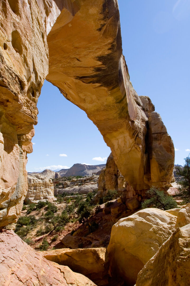 WVI_017839 — United States, Capitol Reef National Park, Geology, National Parks