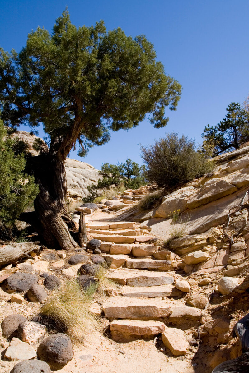 WVI_017840 — United States, Capitol Reef National Park, Geology, National Parks