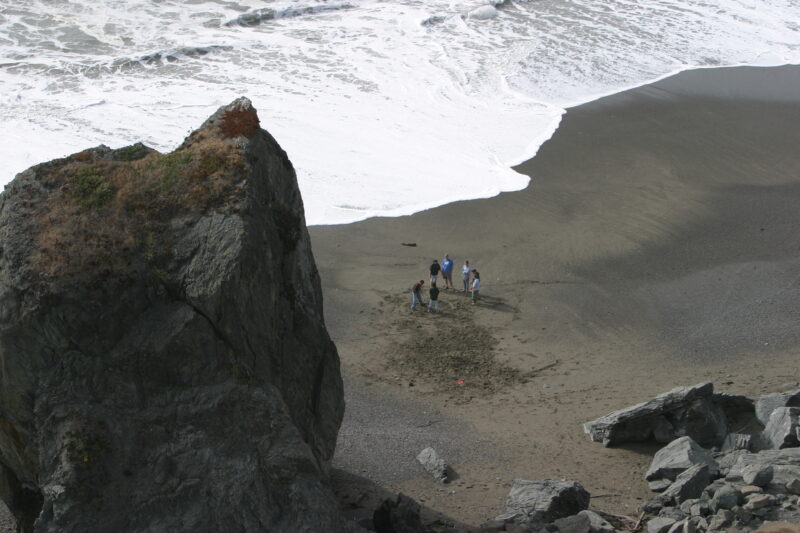 Beach — United States, California, USA, Beach, Ocean