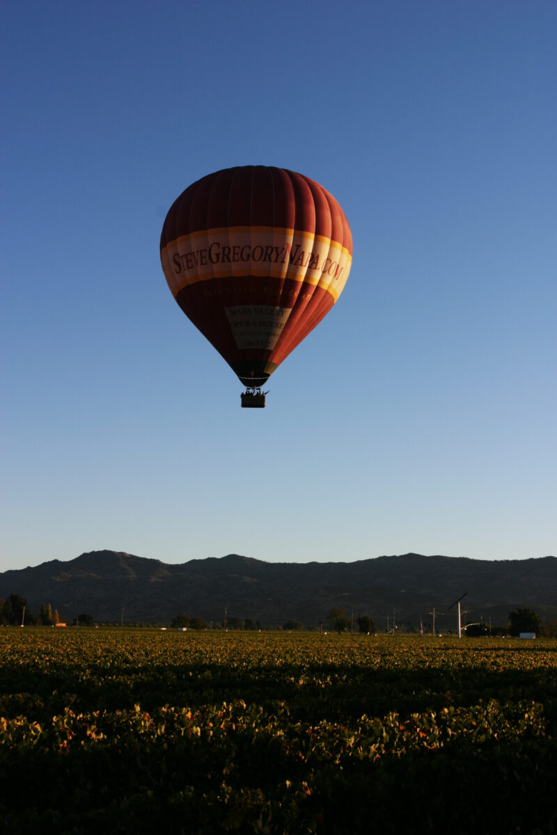 WVI_019482 — United States, California, USA