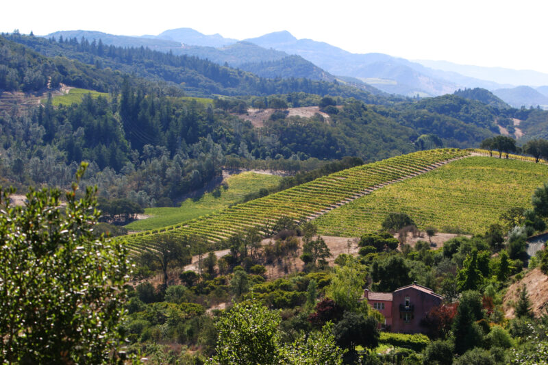 Napa — Scenic, United States, California, USA, Napa Valley