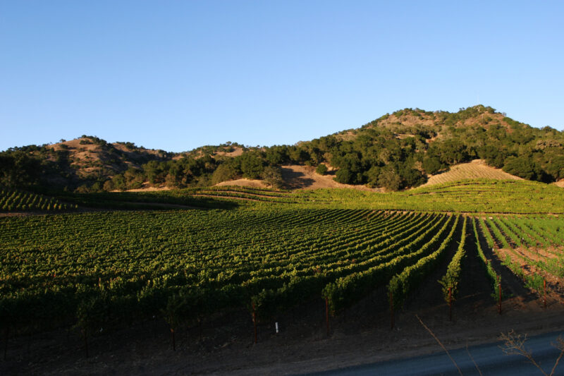 Napa — Scenic, United States, California, USA, Napa Valley
