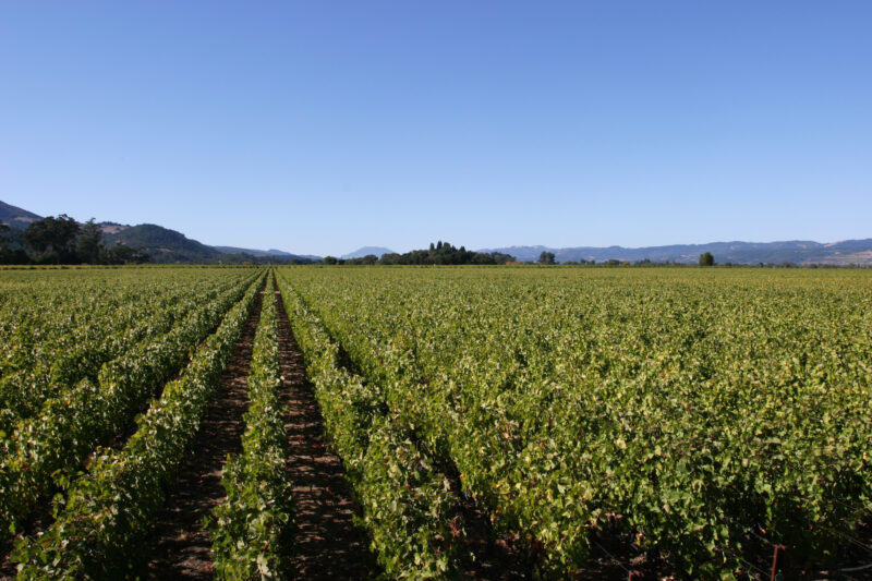 Napa — Scenic, United States, California, USA, Napa Valley