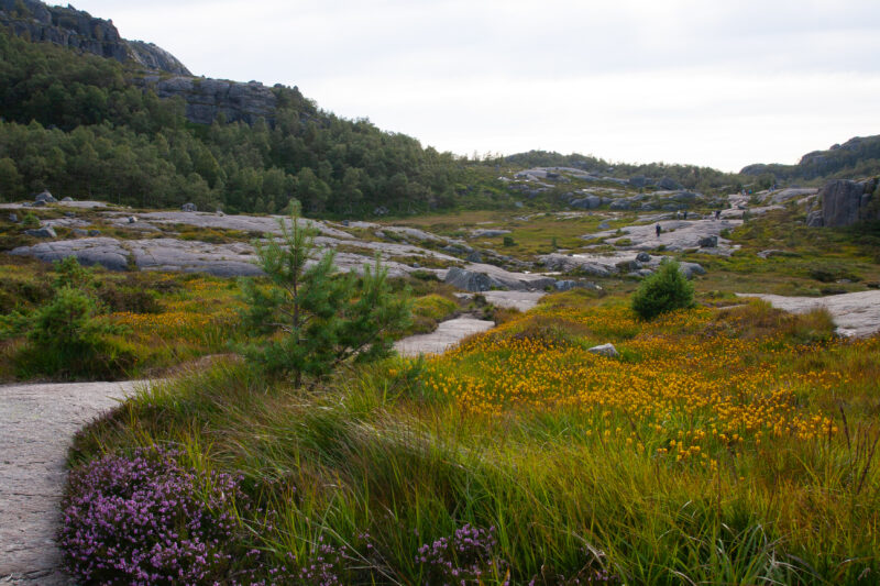 Hiking to Pulpit Rock in Norway — People hiking up to Pulpit Rock — Norway, Scenic