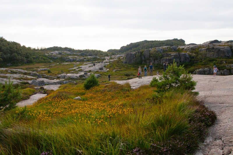 Hiking to Pulpit Rock in Norway — People hiking up to Pulpit Rock — Norway, Scenic