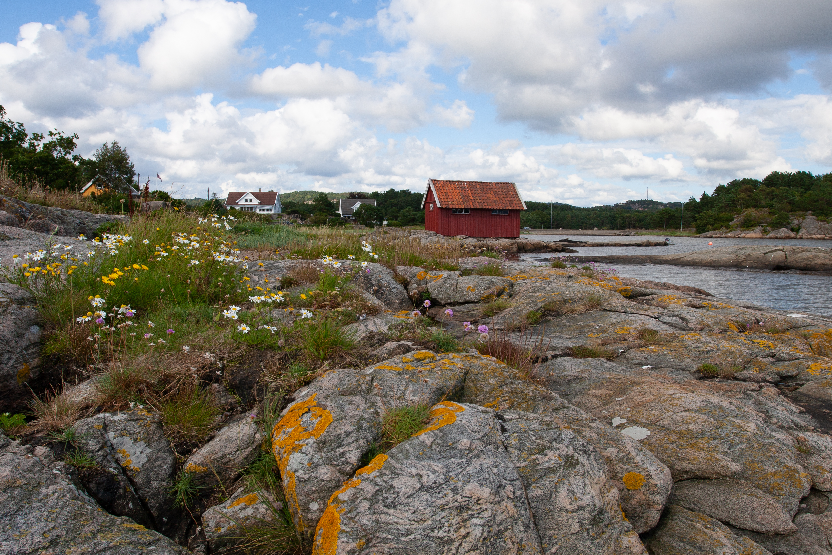 Rocky Shoreline in Norway
