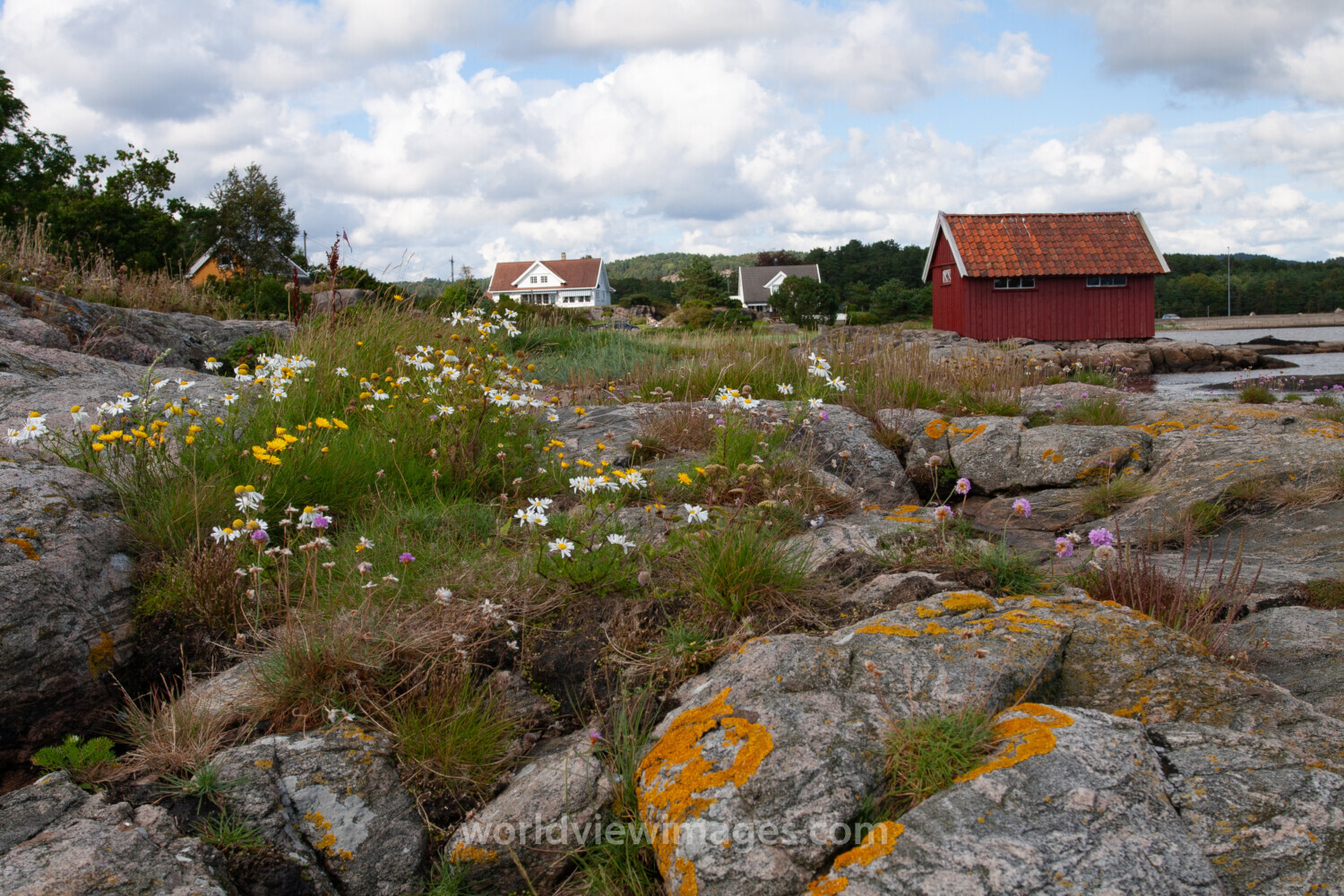 Rocky Shoreline in Norway