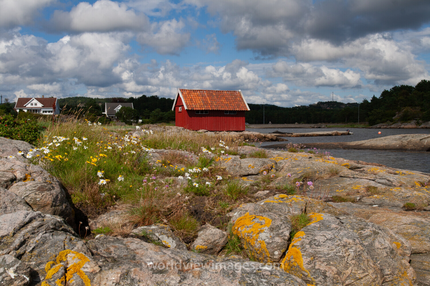 Rocky Shoreline in Norway
