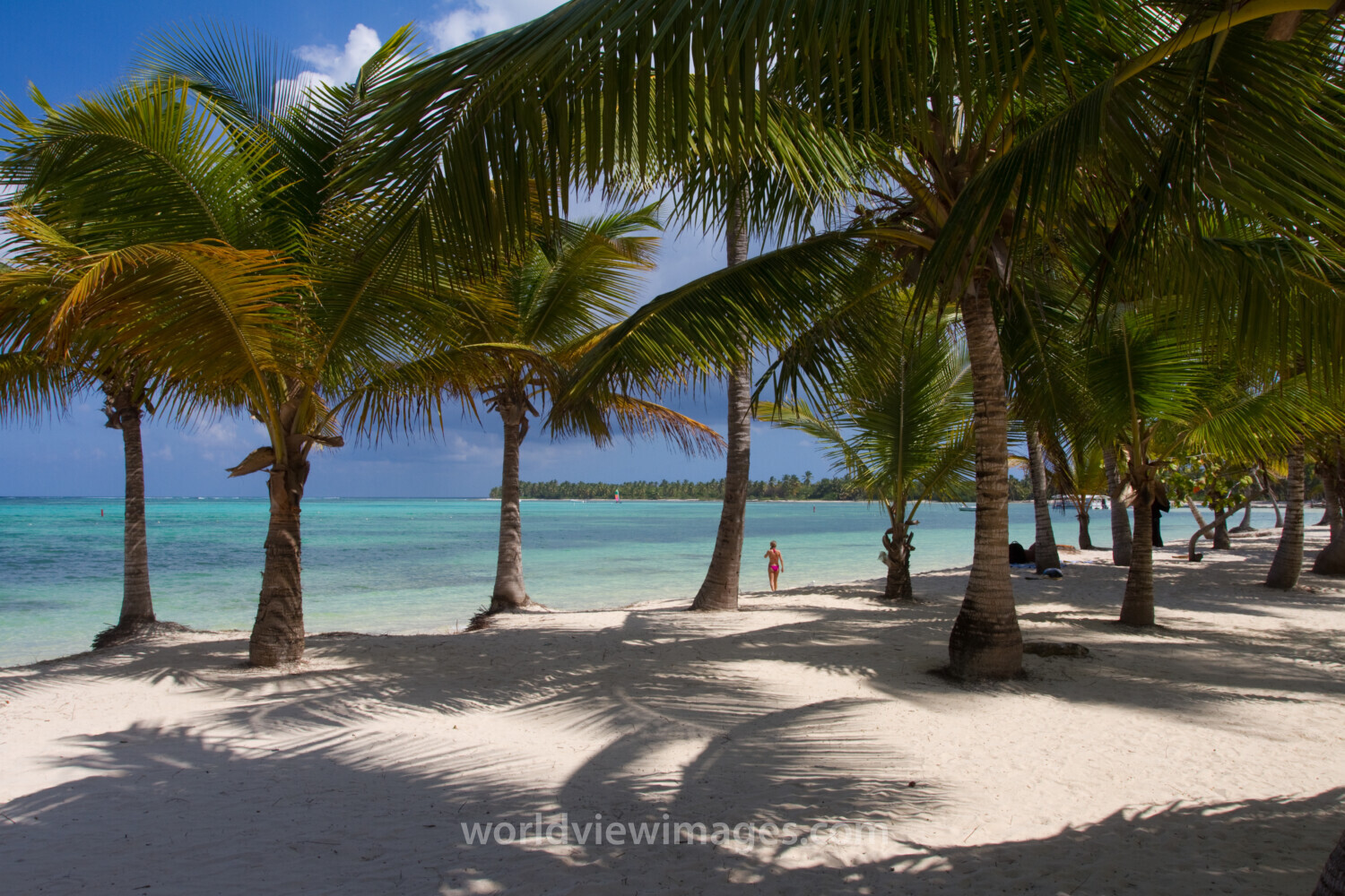 Bavaro Beach in the Dominican Republic
