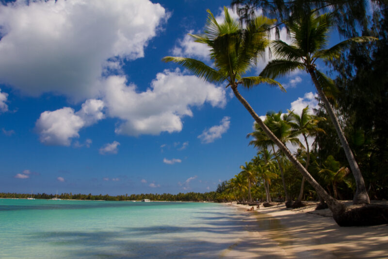 Bavaro Beach in the Dominican Republic — Beaches, Dominican Republic, Bavaro, Punta Cana, palm trees