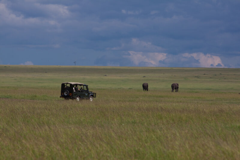 On Safari in Masai Mara, Kenya — Maasai Mara — Africa, Kenya