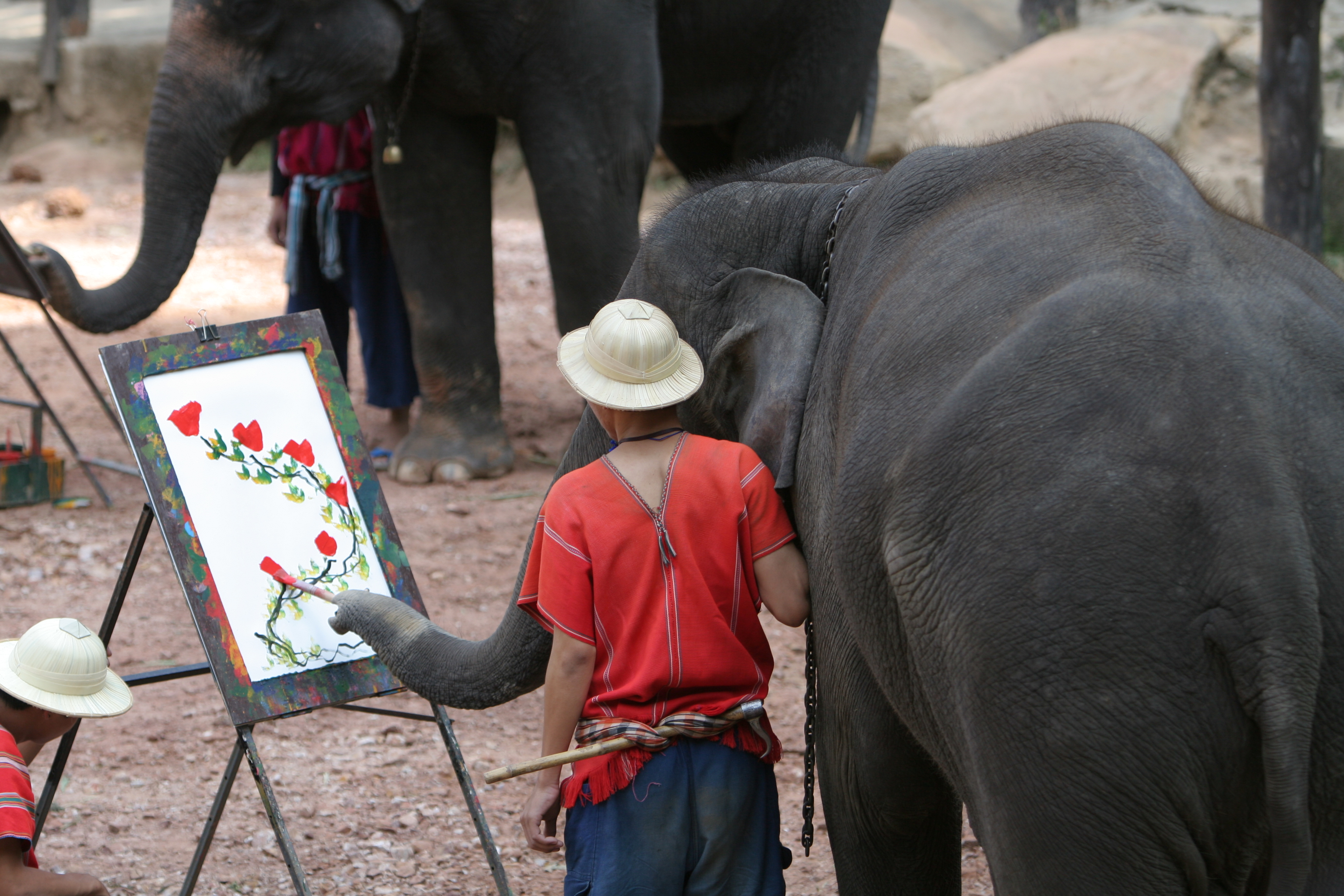 Trained Elephants in Thailand
