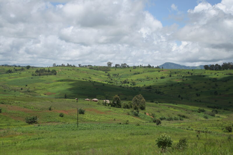 Rolling Green Hills of Malawi — Malawi, Africa