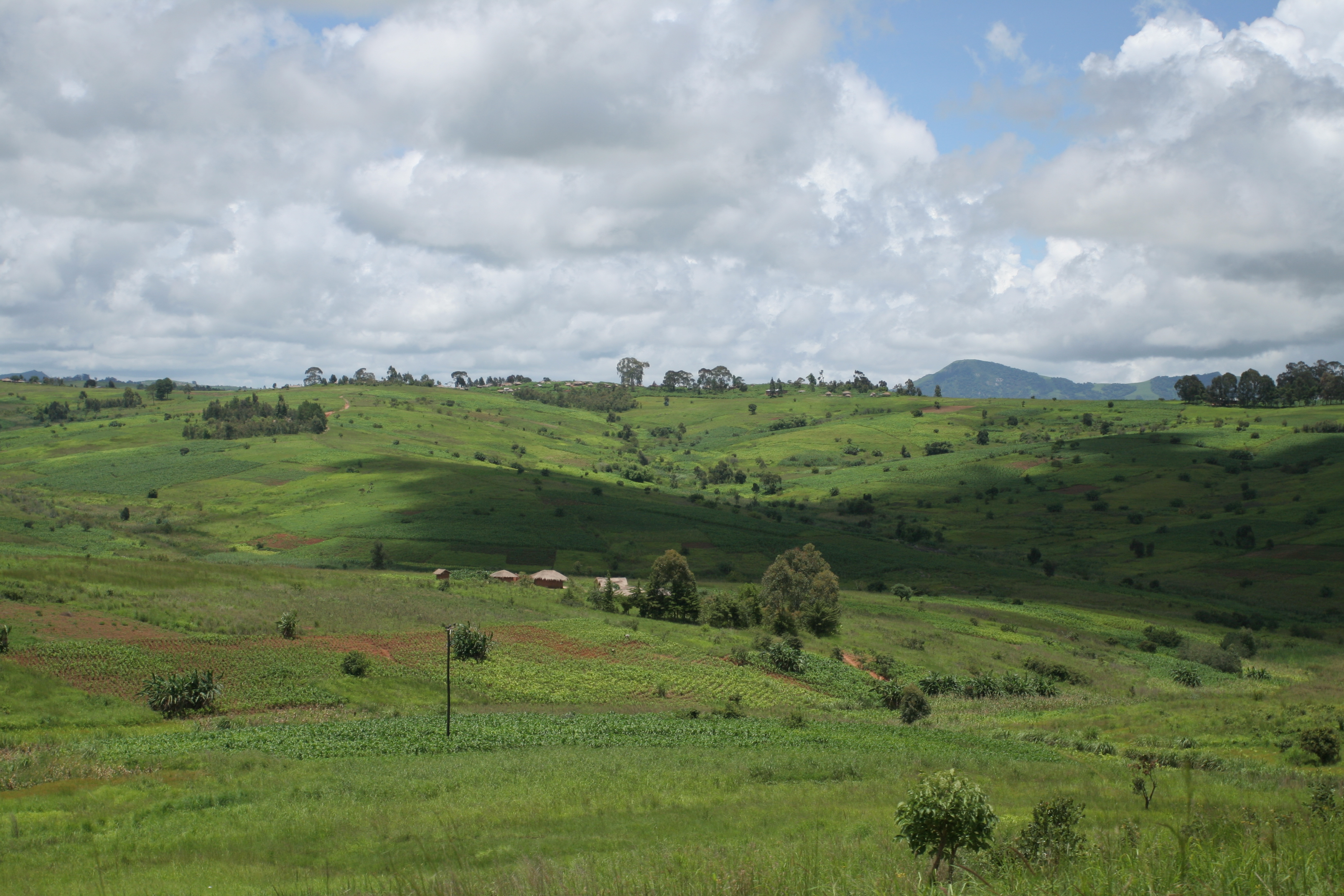 Rolling Green Hills of Malawi