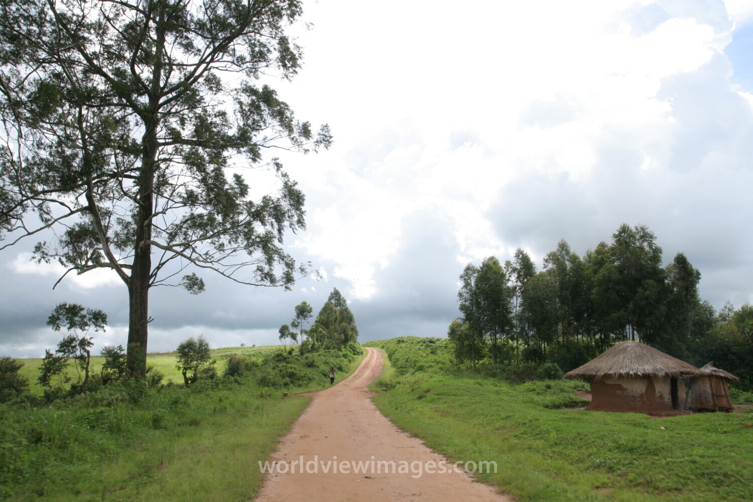 Dirt Road in Malawi