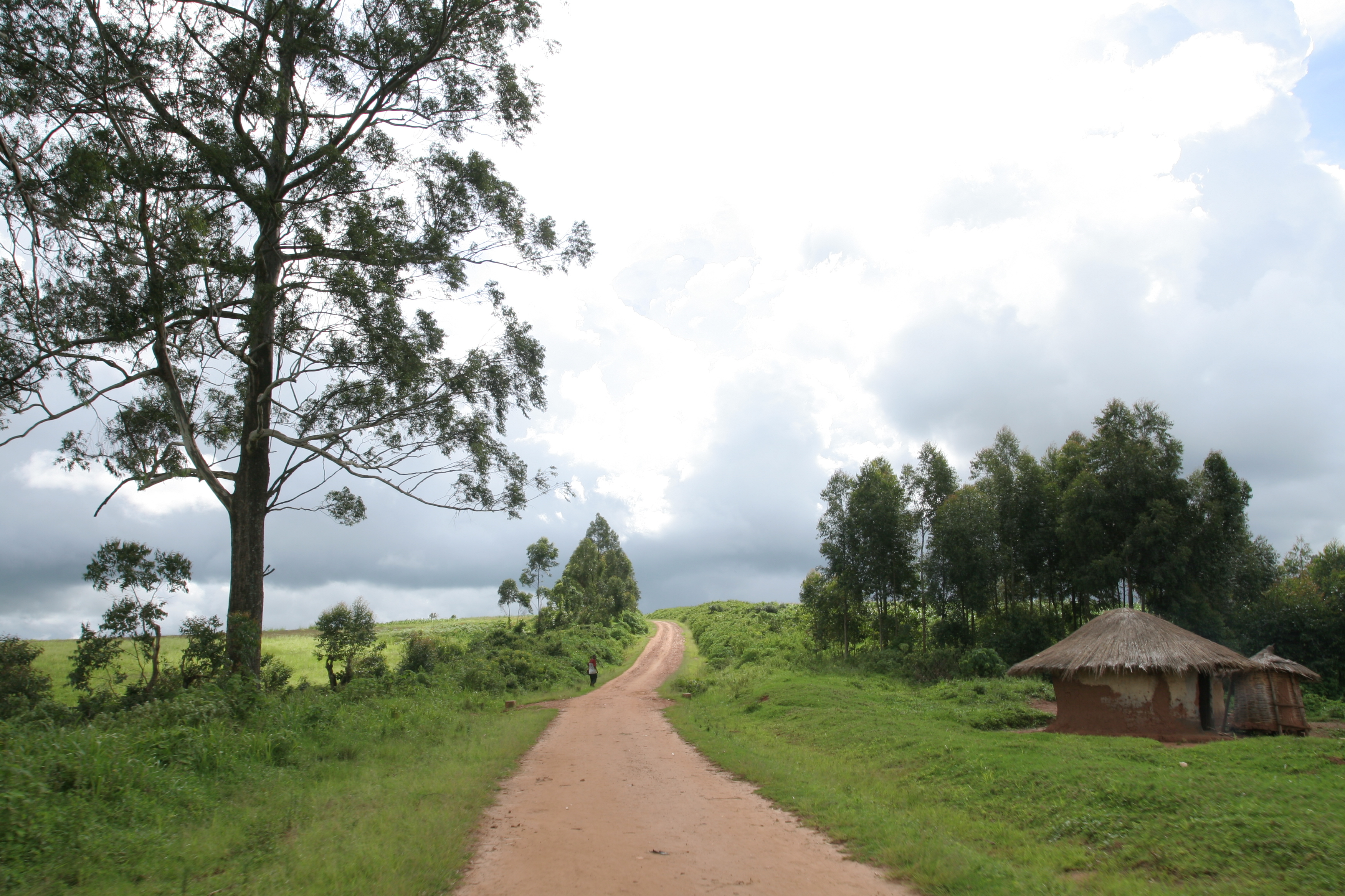 Dirt Road in Malawi