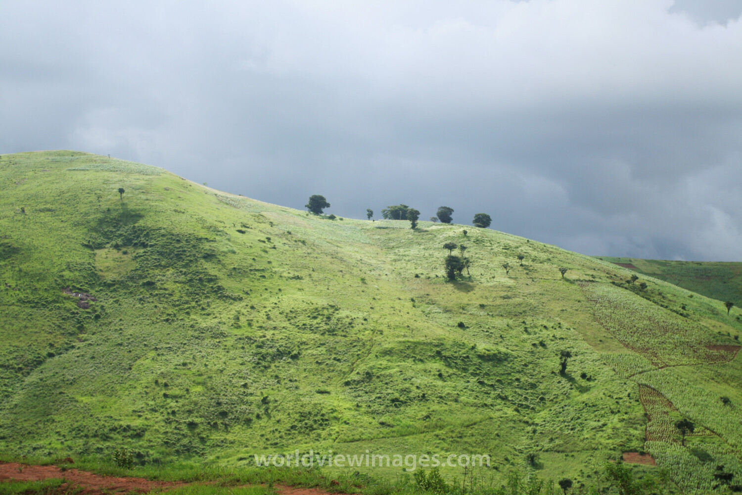 Green Hillside in Malawi