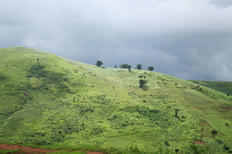 Green Hillside in Malawi — Malawi, Africa, hill, hills, hillside