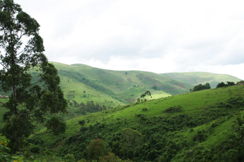 Rolling Hills in Malawi — Beautiful Green Hillside in Malawi — Malawi, Africa, hill, hills, hillside