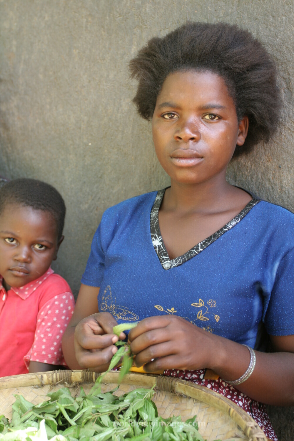 Girl works with Herbs