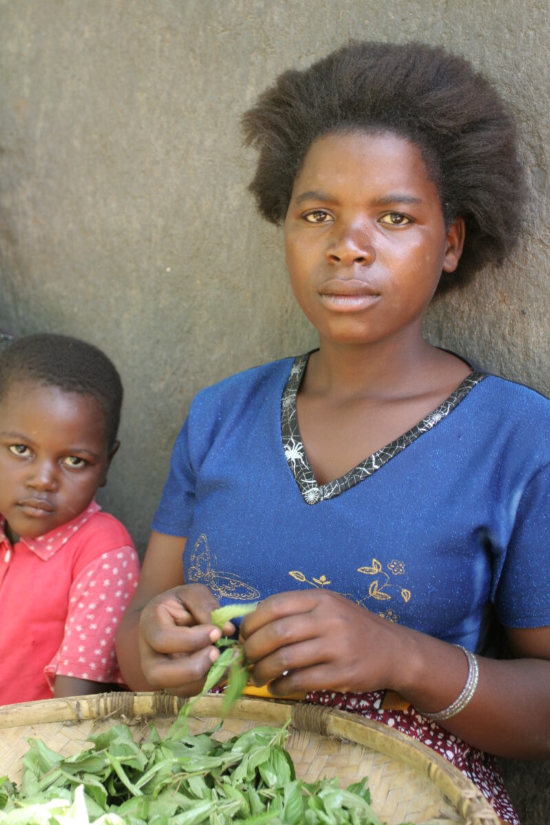 Girl works with Herbs — Girl stems herbs picked from her garden in Malawi — Malawi, Africa, girl, girls, agriculture