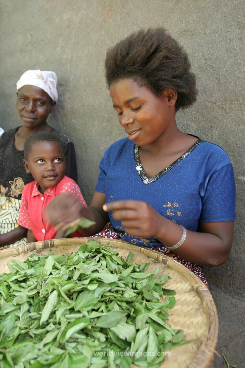 Girl works with Herbs