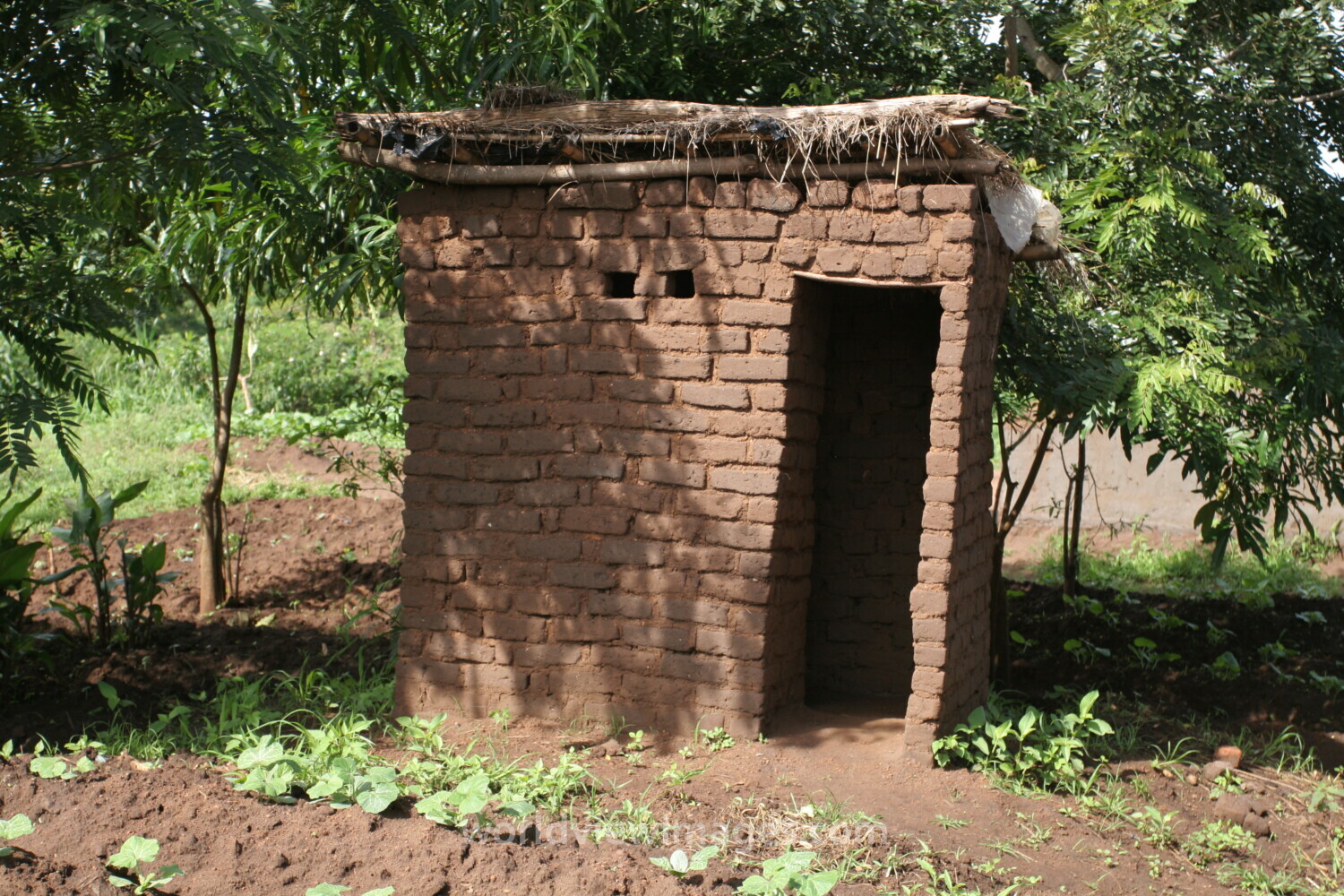 Latrine in Malawi
