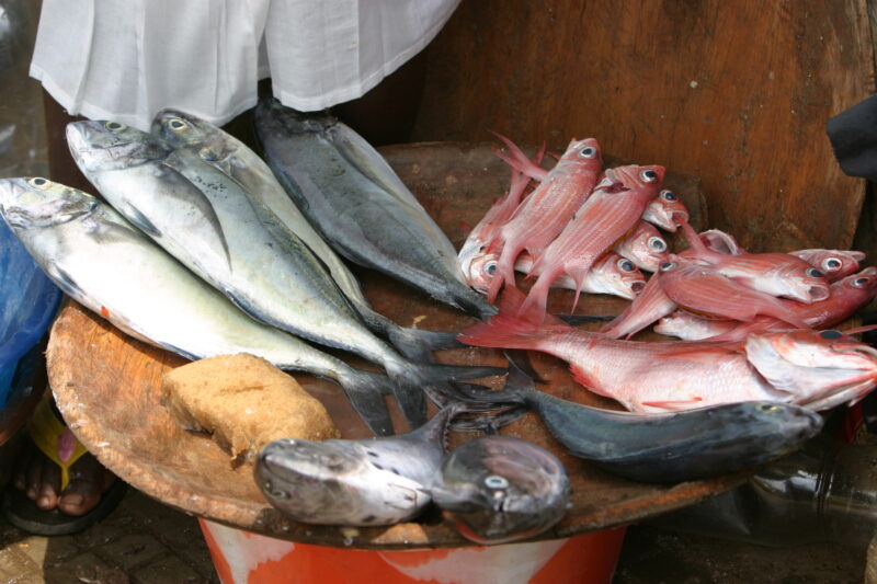 Sao Tome — Sao Tome, Africa, City of, Capital