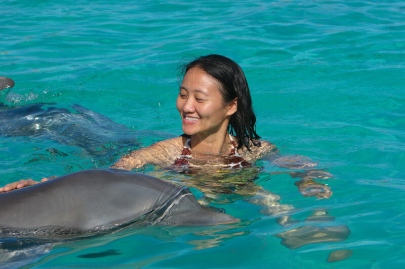 Swimming with Dolphins in the Dominican Republic — Asian woman enjoys a swiming with dolphins program in the Dominican Republic — Dominican Republic, Woman, ...