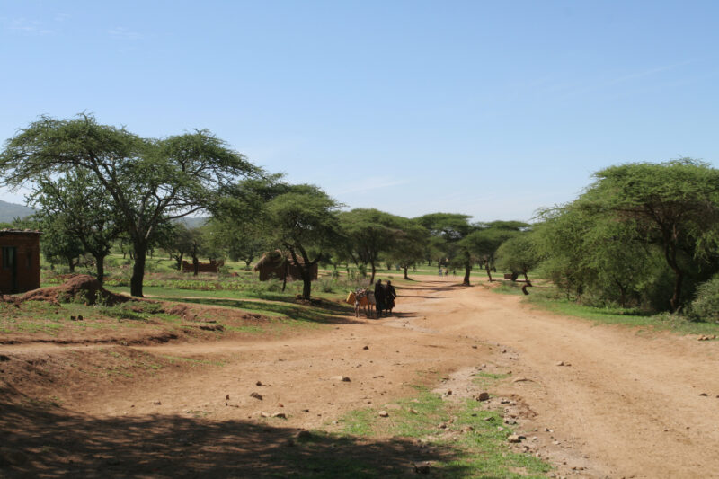 Rural Road in Tanzania — Tanzania, Africa, Poverty, Development, Hanang