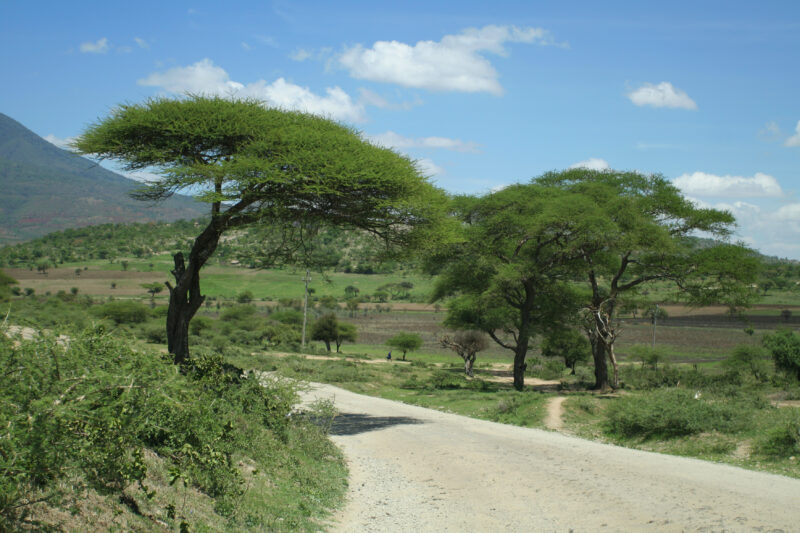 Road in Tanzania — Tanzania, Africa, Poverty, Development, Hanang