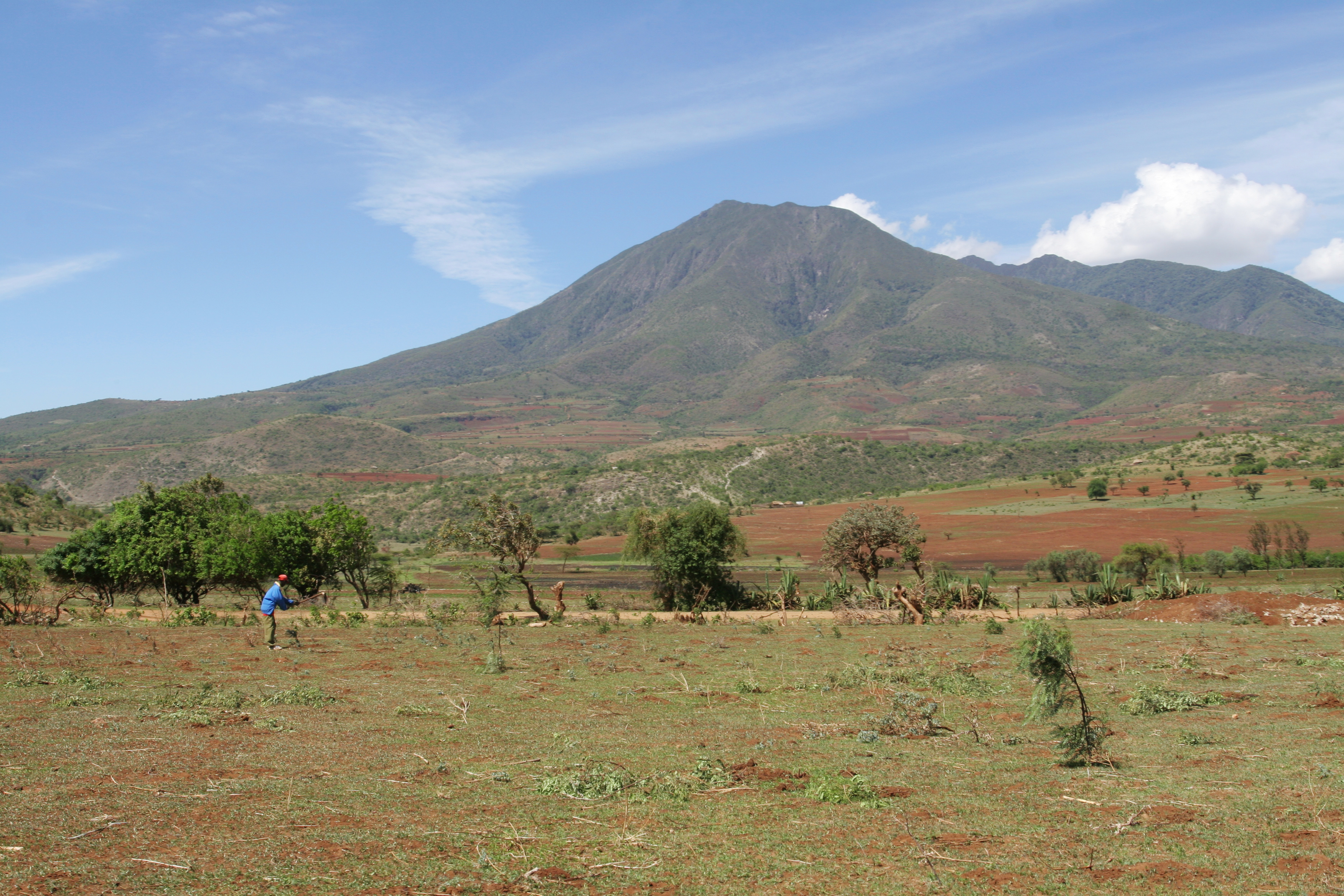 Farm in Tanzania