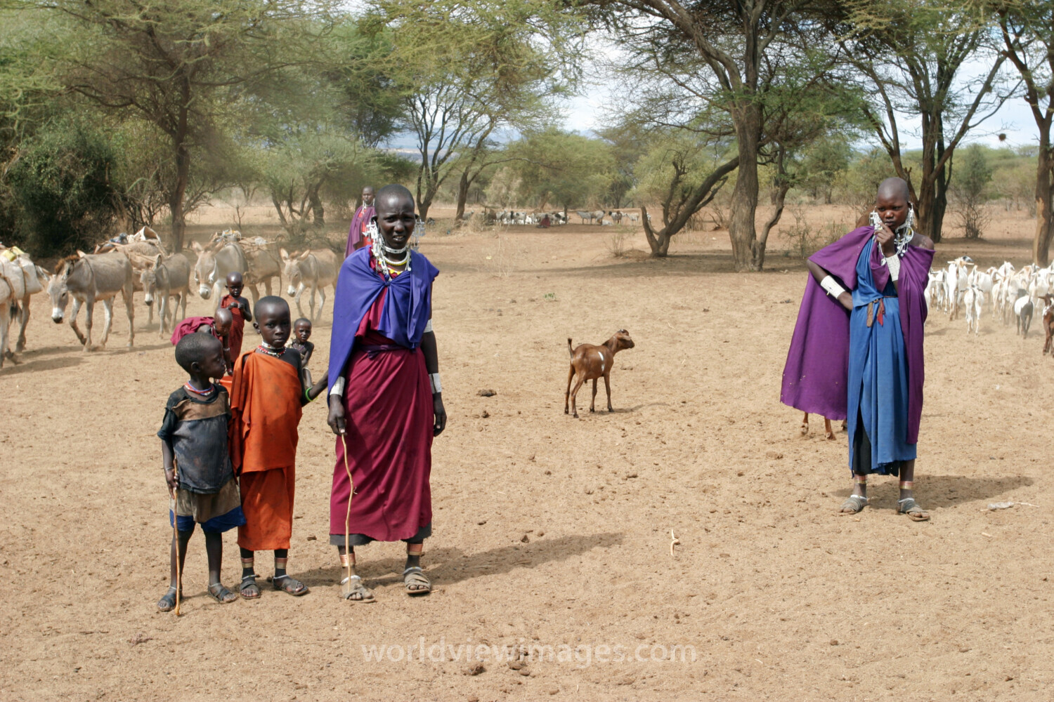 Masai People in Tanzania.