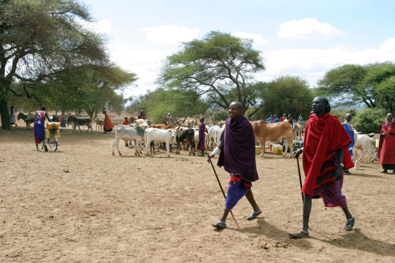Masai People in Tanzania. — The amazing Masai people of Tanzania — Tanzania, Africa, Massai, Masai