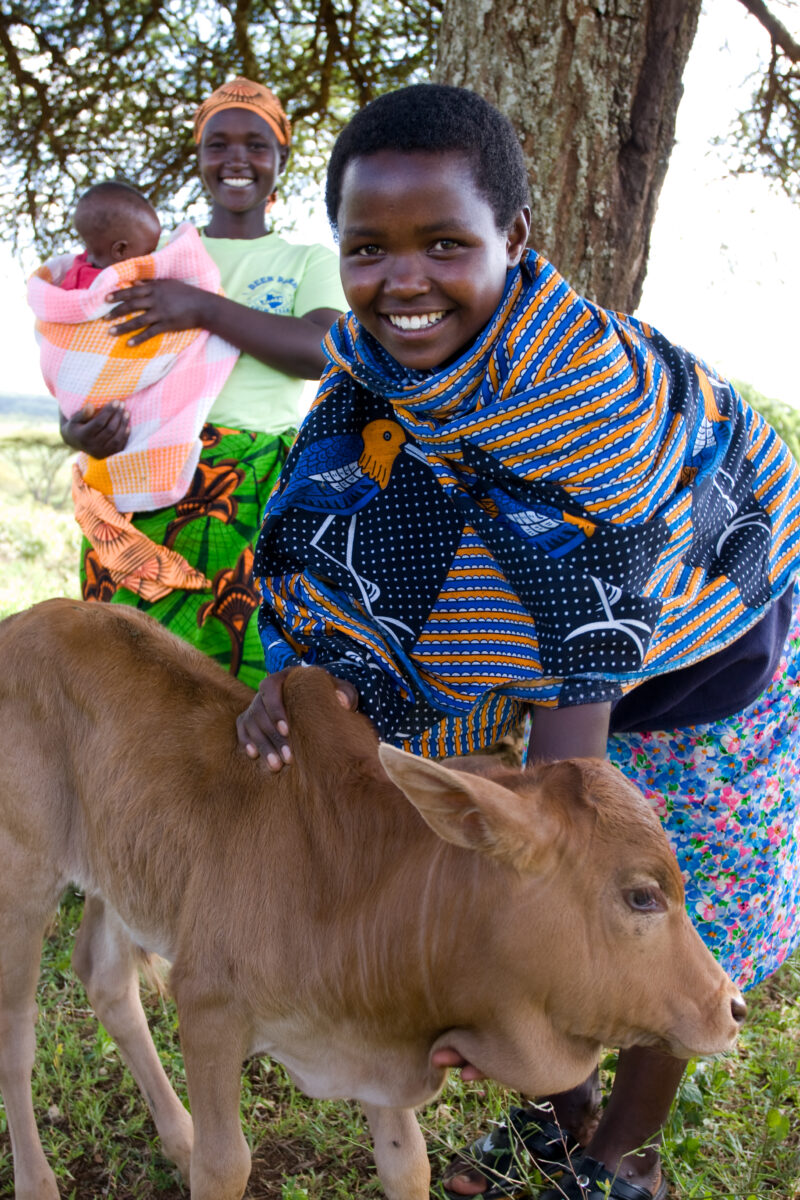 Girl gets a Calf — ADRA, Africa, Development, Poverty, Tanzania