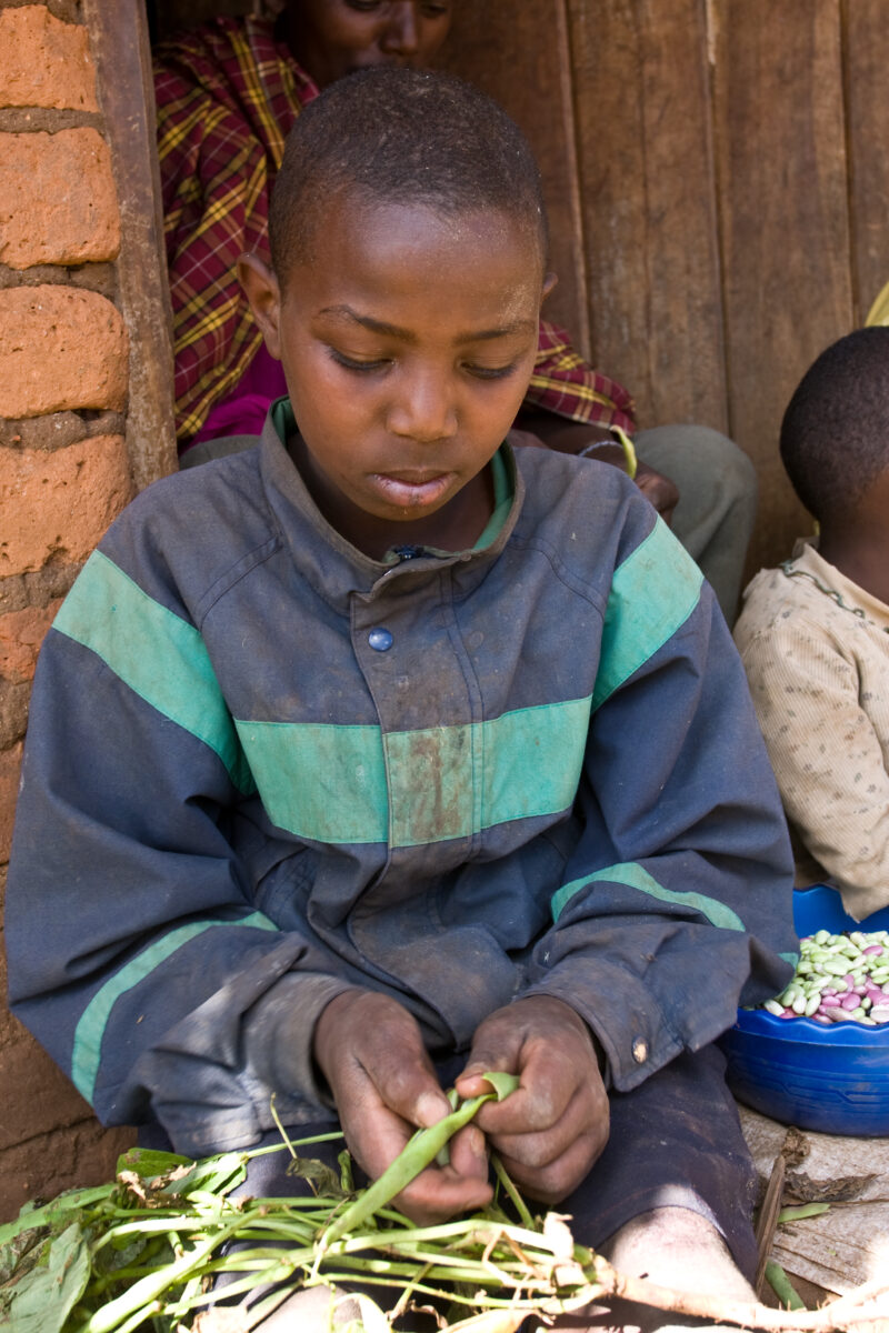 Shelling Beans — Family in rural Tanzania work together to shell the beans they have just harvested from their garden. — ADRA, Africa, Development, Poverty, ...