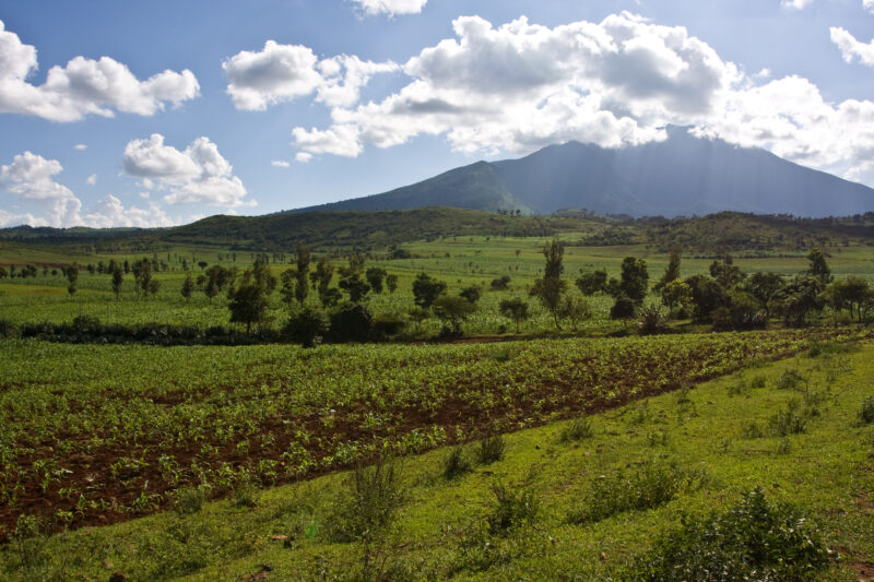 Field in Tanzania — Farmland of Hanang District, Tanzania — ADRA, Africa, Development, Poverty, Tanzania