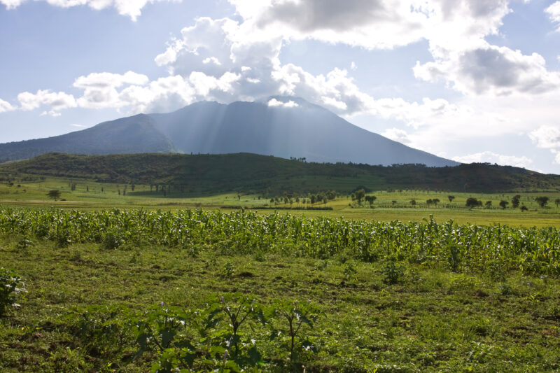 Field in Tanzania — Farmland of Hanang District, Tanzania — ADRA, Africa, Development, Poverty, Tanzania