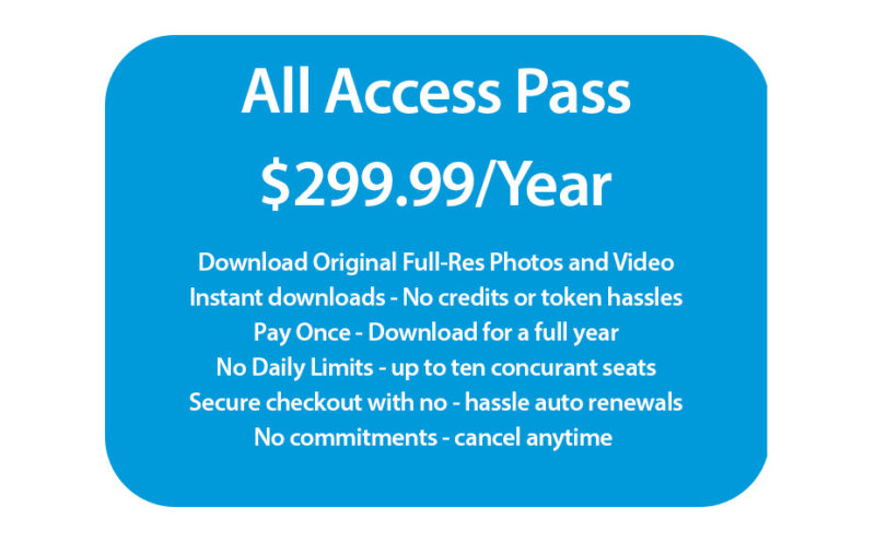 Photo: Team AccessPanel