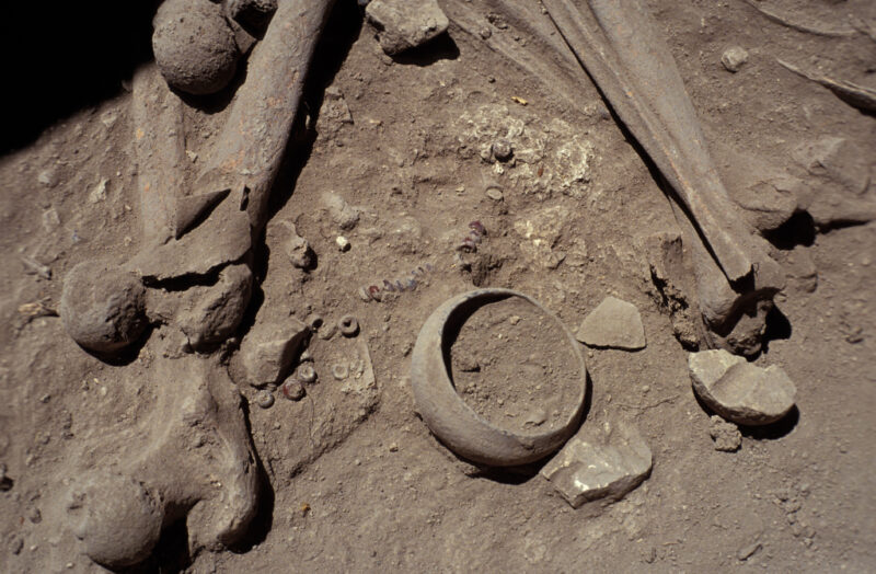 Bones and Pots — Carefully diging and sweeping reveals pottery and ancient bones at an archaeological site in Jordan — Jordan, Archaeology