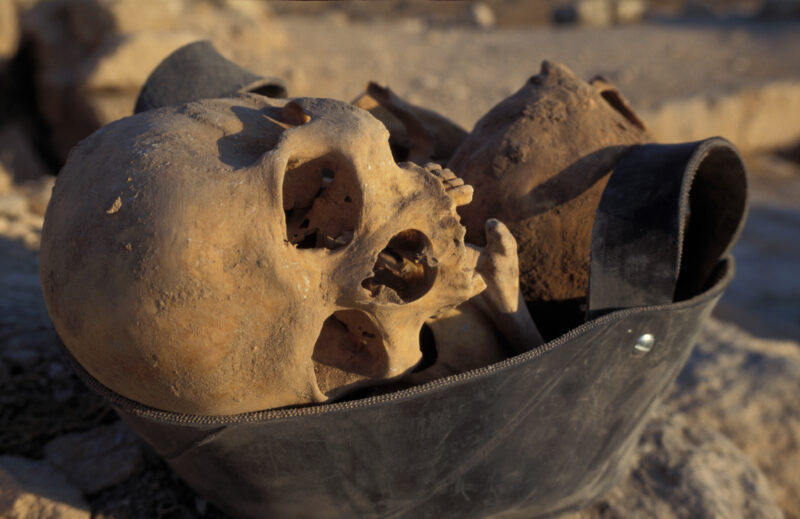 Skull — Human remains dug up at a dig in Jordan — Jordan, Archaeology, skull