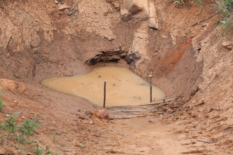 Water Hole — Brazil, South America, water, water source